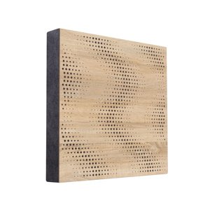 Mega-acoustic FiberPro - Sinius 60