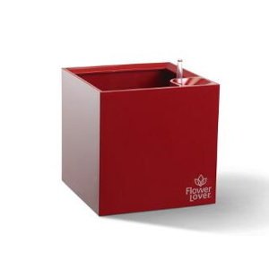 Plastkon Samozavlažovací květináč Cubico 27x27x27 cm, červený