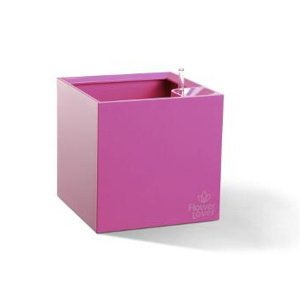 Plastkon Samozavlažovací květináč Cubico 27x27x27 cm, růžový