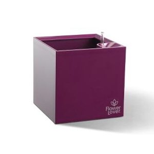 Plastkon Samozavlažovací květináč Cubico 33x33x33 cm, fialový